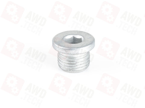 A0029900612, IYB500020 Korek (dla DCS/ITC PLA/DCD)