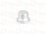A0029900612, IYB500020 Korek (dla DCS/ITC PLA/DCD)