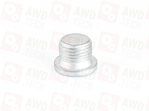 A0029900612, IYB500020 Korek (dla DCS/ITC PLA/DCD)