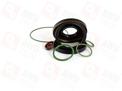 Kit di tenuta (per 95B)