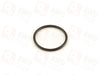 27107593451, 673002350 Seal O-ring (for ATC350/ATC35L/ATC450/ATC45L/Hyundai ATC/Maserati ATC/PL72 ATC)